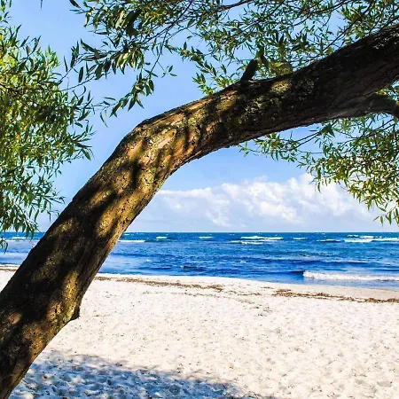 Vakantiehuis Xxxvii *